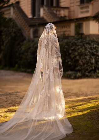 Picture Veil EN 1902 - 1