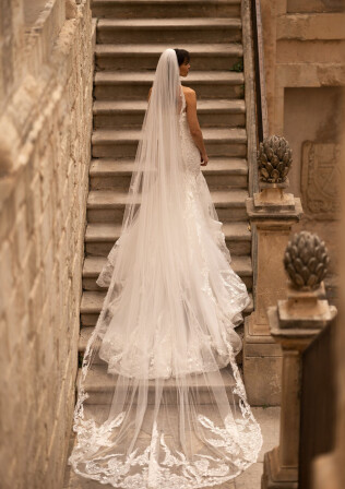 Picture Veil EN 1903 - 1