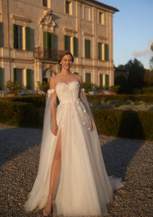 Picture Tender blues EN 1911 - 1