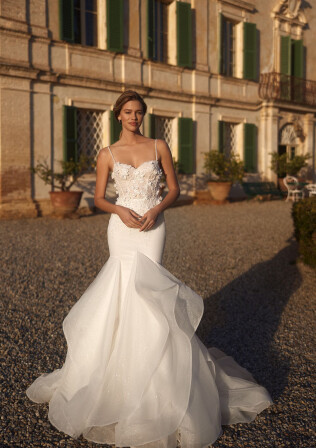 Picture Ivory wonder EN 1919 - 1