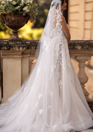 Picture Veil EN 1937 - 1