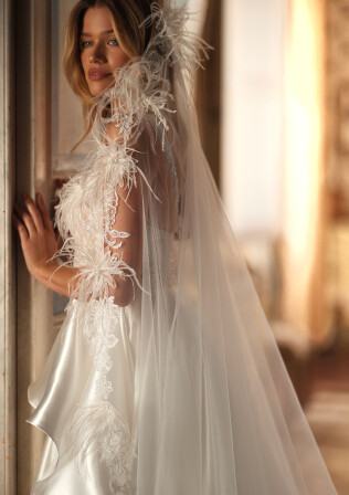 Picture Veil EN 1963 - 1