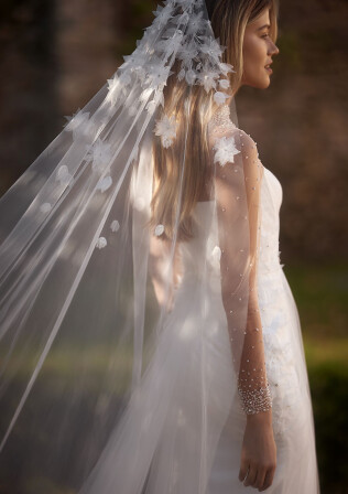 Picture Veil EN 1964 - 1