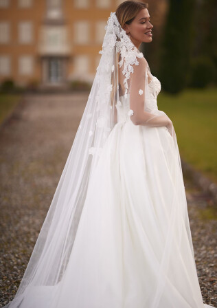 Picture Veil EN 1965 - 1