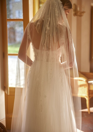 Picture Veil EN 1968 - 1