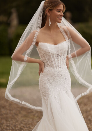 Picture Veil EN 1970 - 1