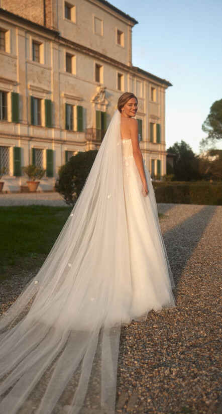 Fotografia Veil PL 1971 - 1