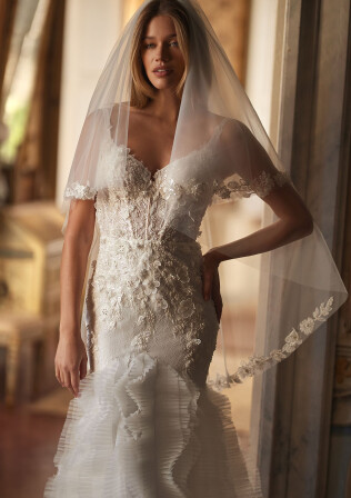 Picture Veil EN 1972 - 1