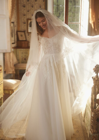 Picture Veil EN 1974 - 1