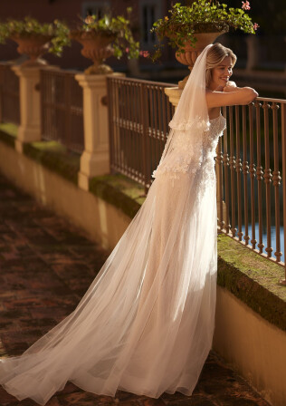 Picture Veil EN 1975 - 1