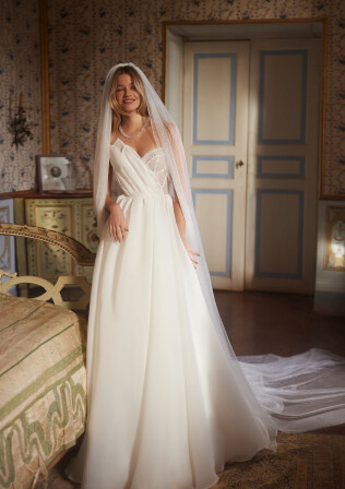 Picture Veil EN 1977 - 1