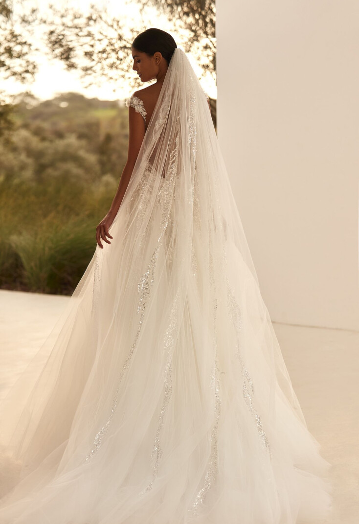 Picture Veil EN 2037 - 1