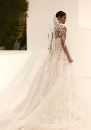 Picture Veil EN 2033 - 1