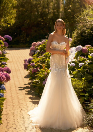 Image Dawn FR 2047 - 1