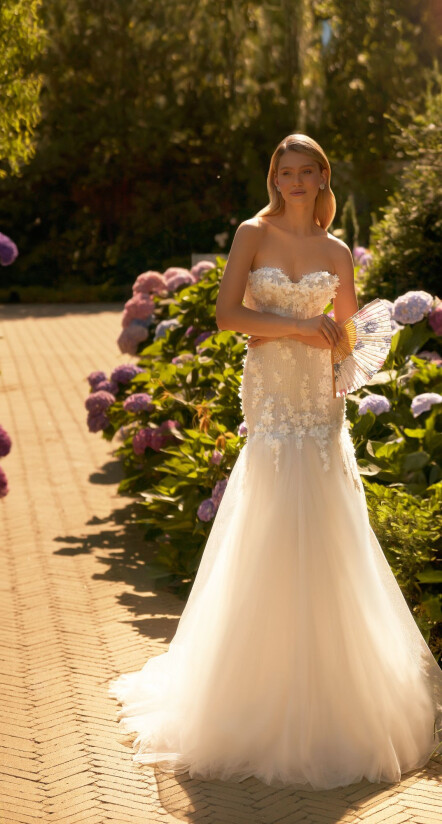 Fotografia Dawn PL 2047 - 1