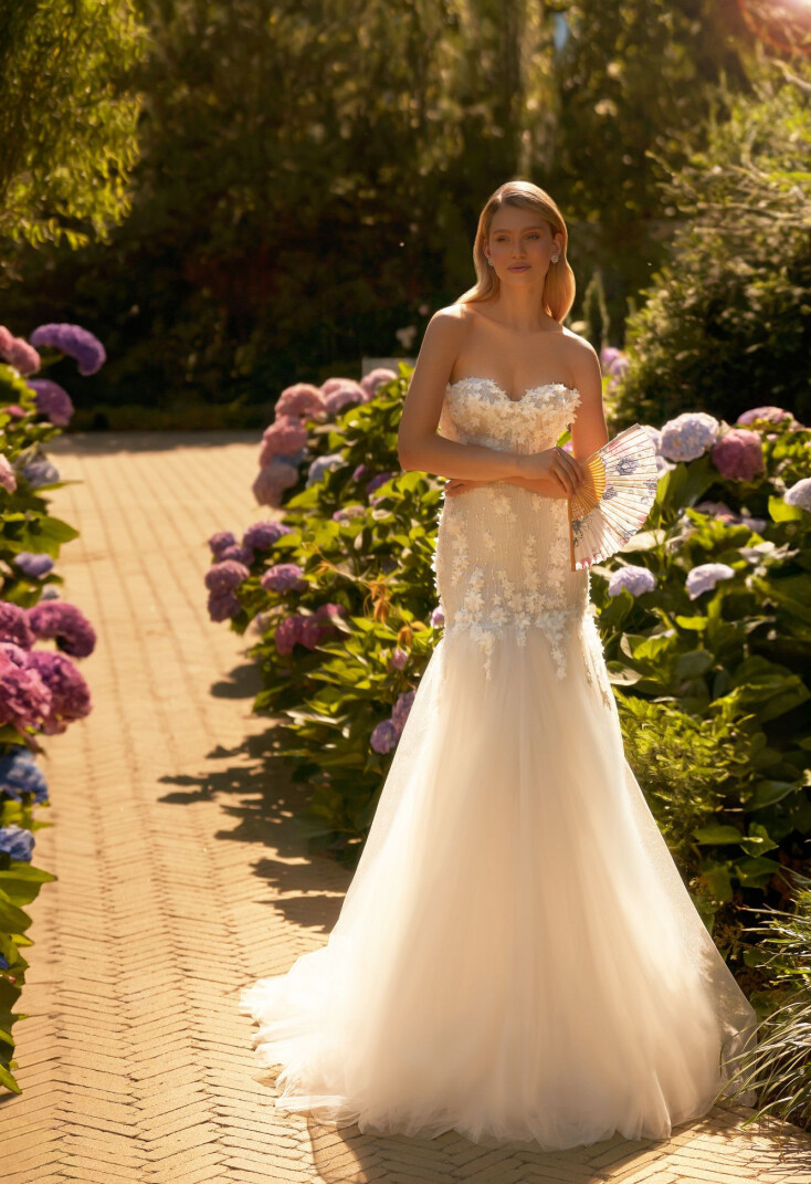 Bild Dawn DE 2047 - 1