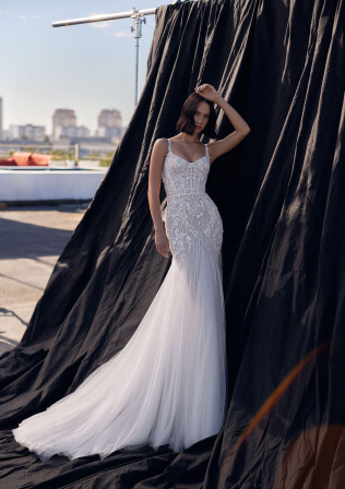 Immagine Onyx IT 2056 - 1