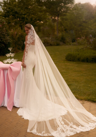 Picture Veil EN 2070 - 1