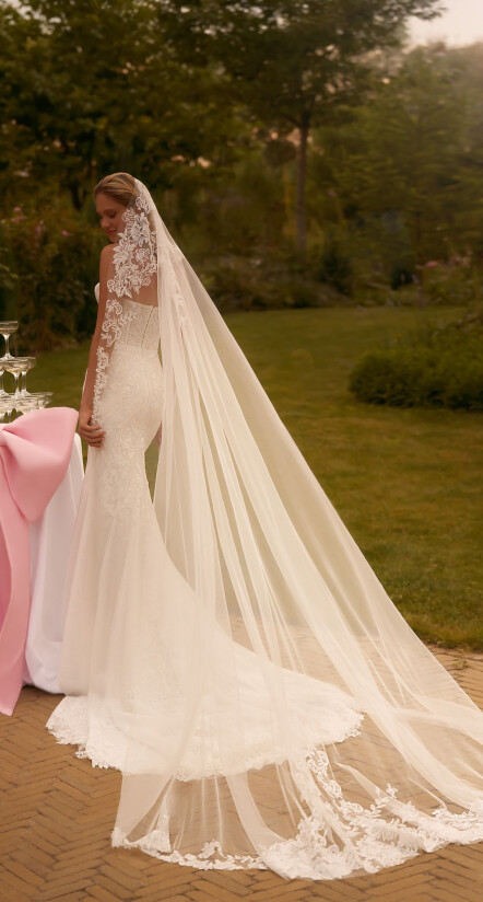 Fotografia Veil PL 2070 - 1