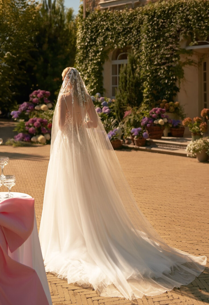 Picture Veil EN 2071 - 1