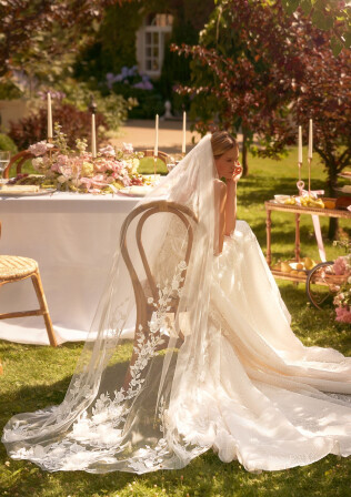 Picture Veil EN 2073 - 1