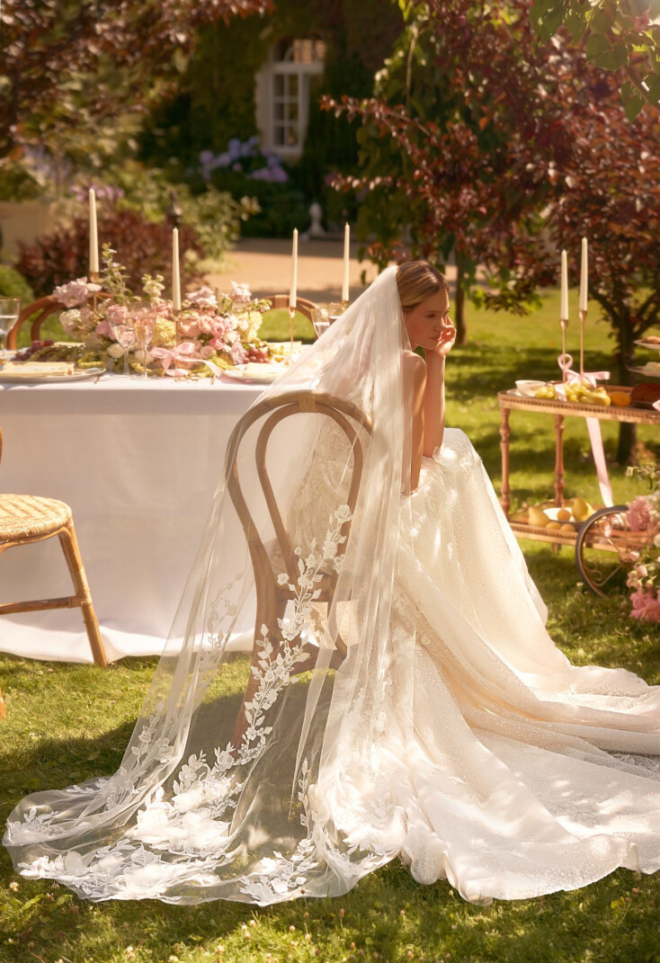 Bild Veil DE 2073 - 1