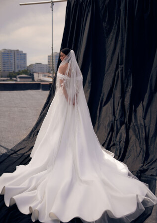 Picture Veil EN 2076 - 1