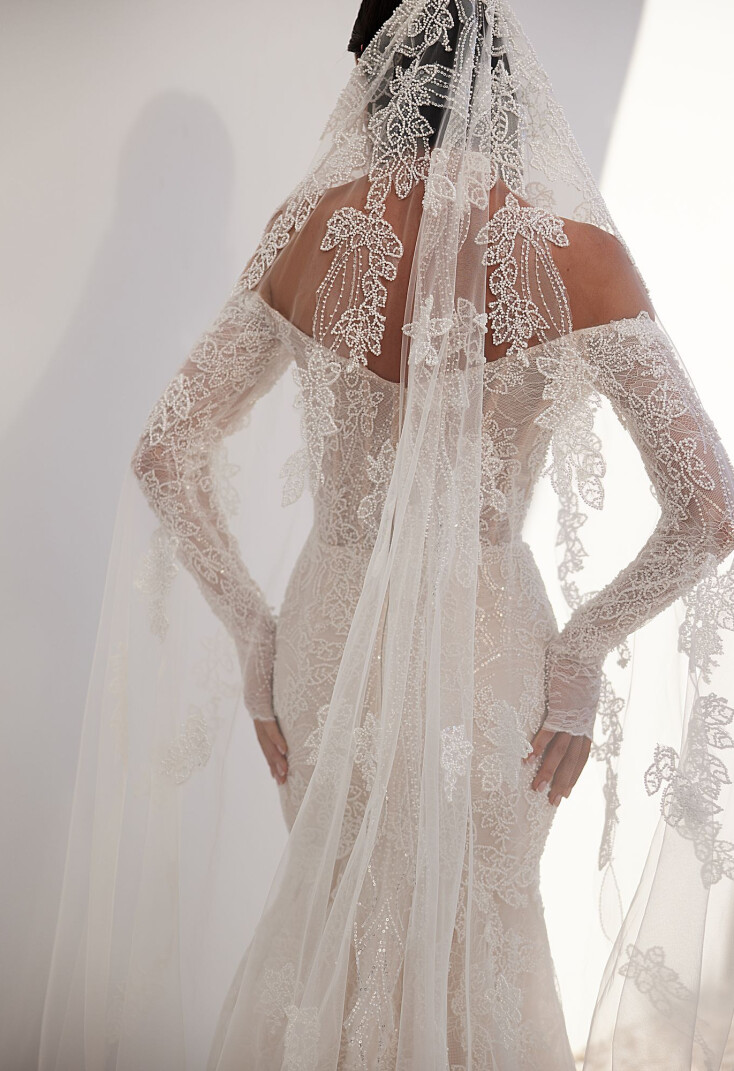 Immagine Veil IT 2077 - 1