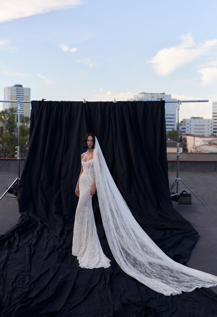 Picture Veil EN 2079 - 1