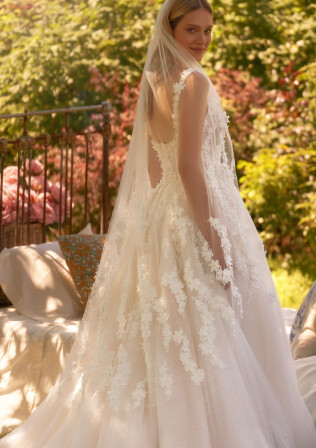 Picture Veil EN 2072 - 1