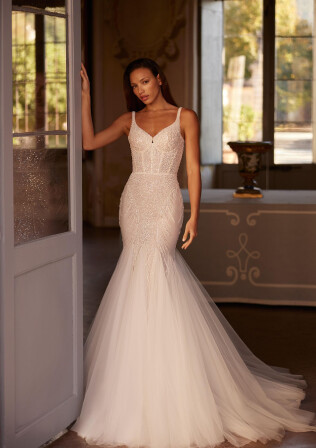 Image Alinae FR 2117 - 1