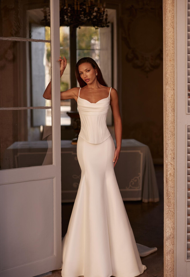 Image Artemisia FR 2134 - 1