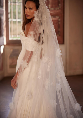 Picture Veil EN 2156 - 1