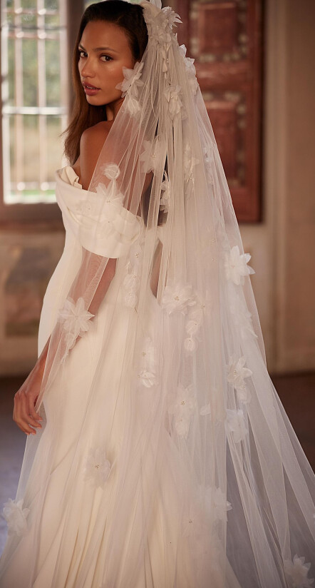 Picture Veil EN 2156 - 1