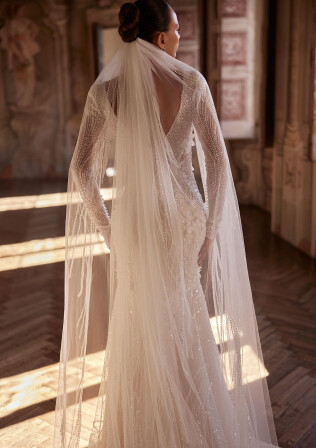 Picture Veil EN 2157 - 1