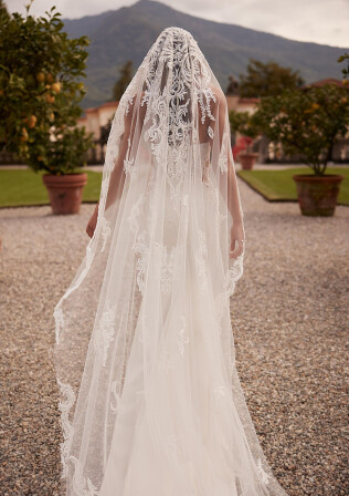 Picture Veil EN 2160 - 1