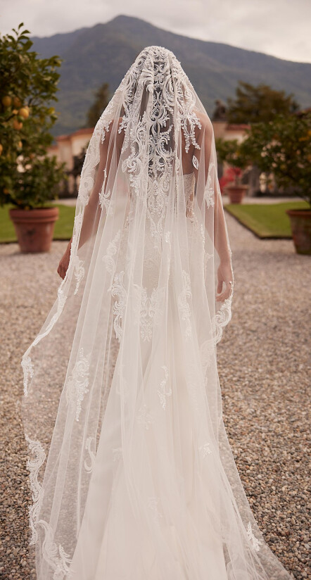 Picture Veil EN 2160 - 1