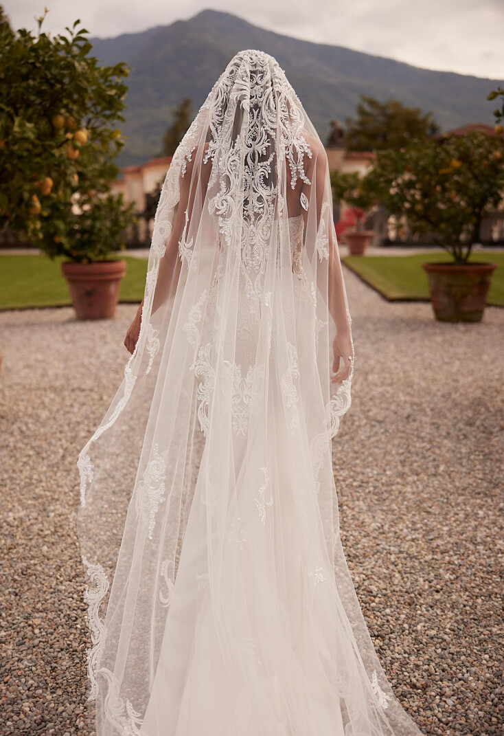 Picture Veil EN 2160 - 1