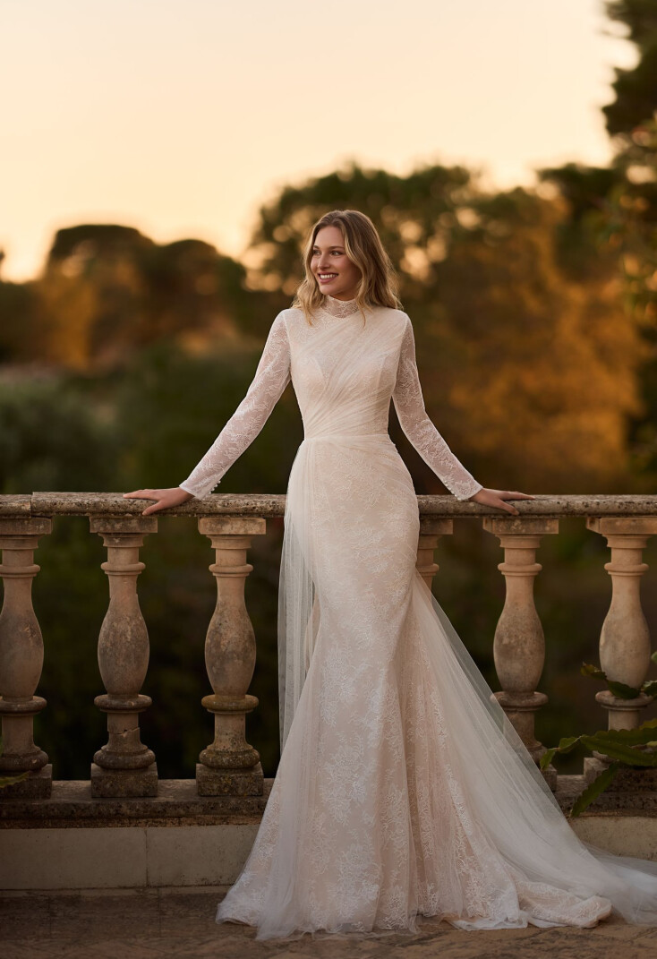 Picture Bellatrix EN 2188 - 1