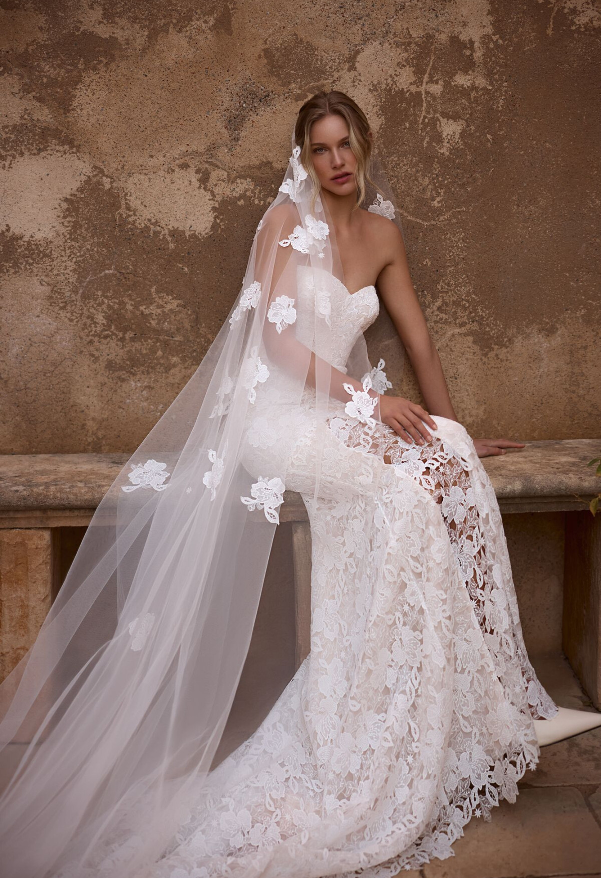 Picture Veil EN 2197 - 1