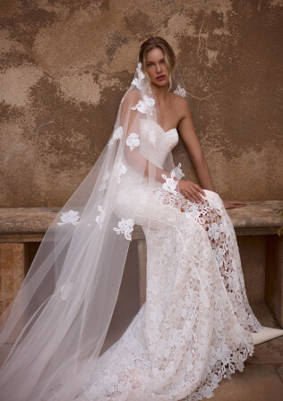 Picture Veil EN 2197 - 1