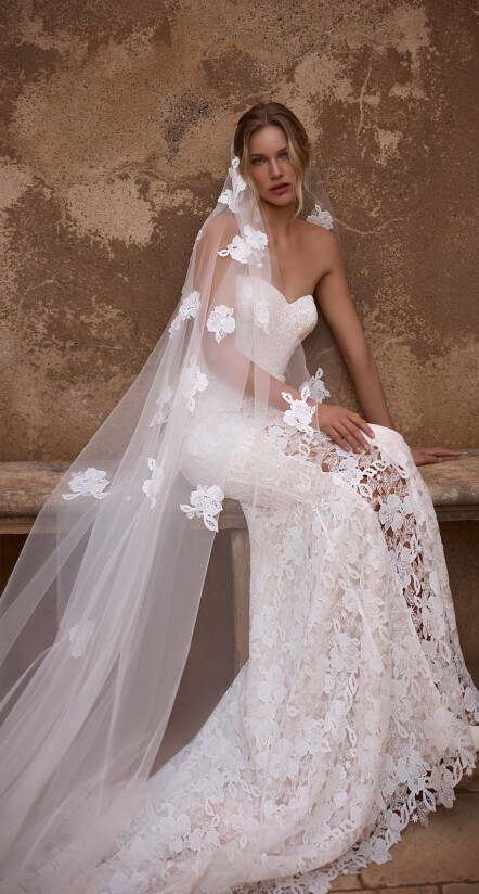 Fotografia Veil PL 2197 - 1