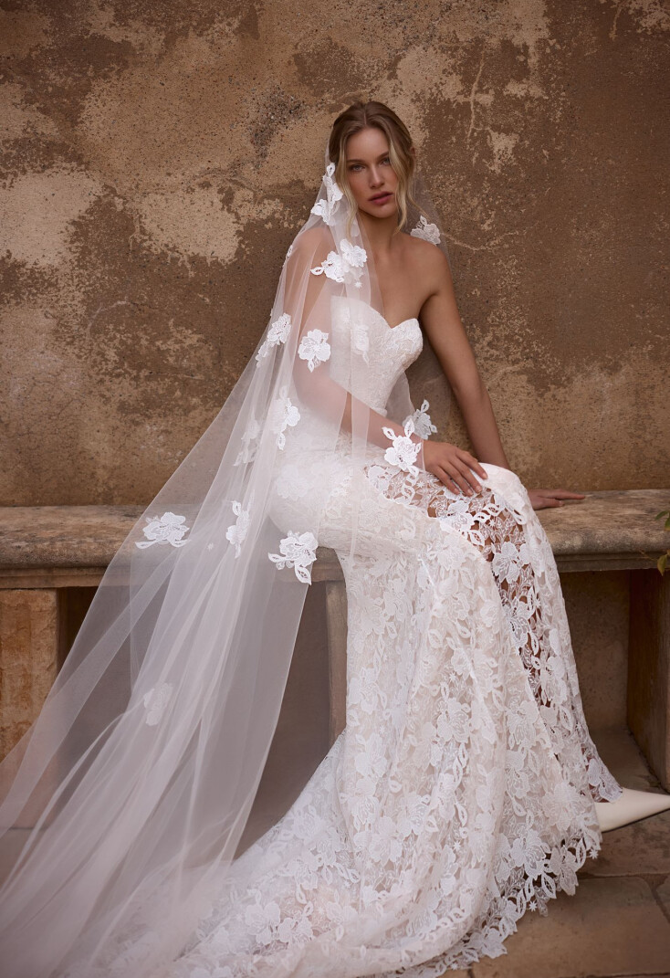 Image Veil FR 2197 - 1