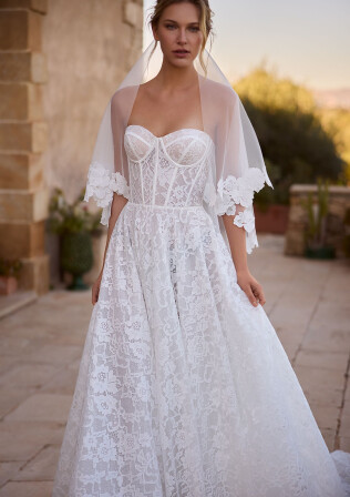 Picture Veil EN 2193 - 1