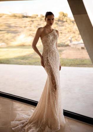 Immagine Vixen IT 2225 - 1