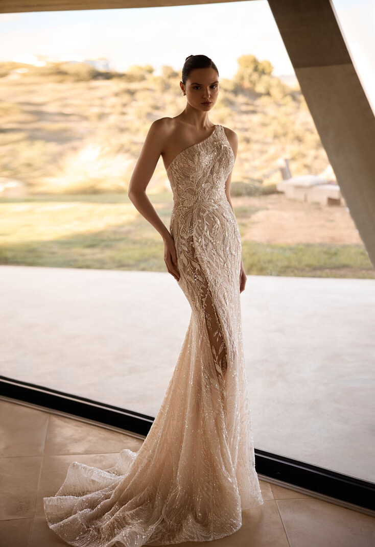 Immagine Vixen IT 2225 - 1