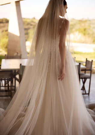 Picture Veil EN 2248 - 1