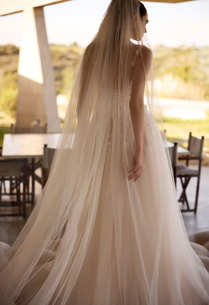 Picture Veil EN 2248 - 1