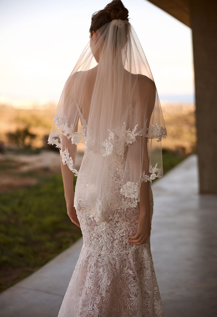 Picture Veil EN 2253 - 1