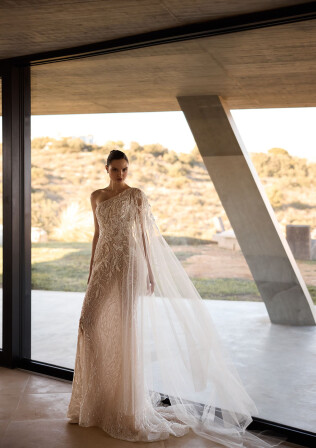 Immagine Vixen  (with sleeve) IT 2257 - 1